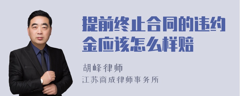 提前终止合同的违约金应该怎么样赔