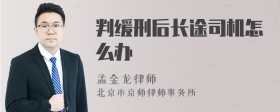 判缓刑后长途司机怎么办