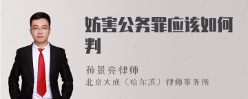 妨害公务罪应该如何判