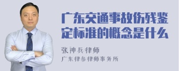 广东交通事故伤残鉴定标准的概念是什么