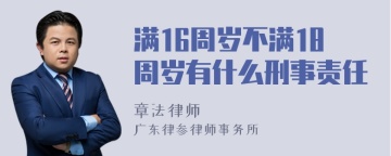 满16周岁不满18周岁有什么刑事责任