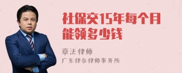 社保交15年每个月能领多少钱