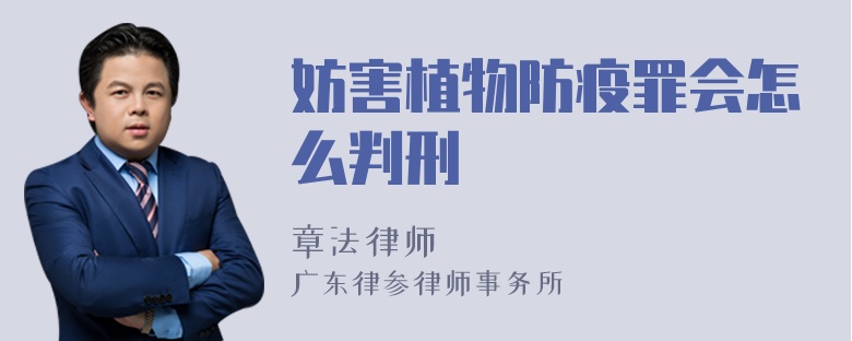 妨害植物防疫罪会怎么判刑