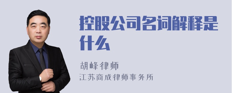 控股公司名词解释是什么