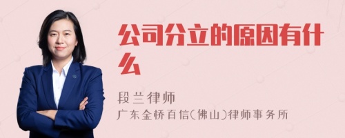 公司分立的原因有什么