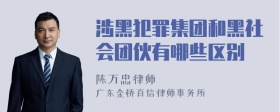 涉黑犯罪集团和黑社会团伙有哪些区别