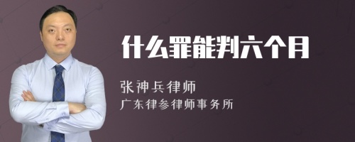 什么罪能判六个月