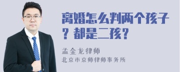 离婚怎么判两个孩子？都是二孩？