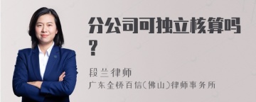 分公司可独立核算吗？