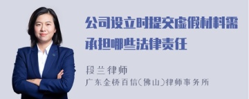 公司设立时提交虚假材料需承担哪些法律责任