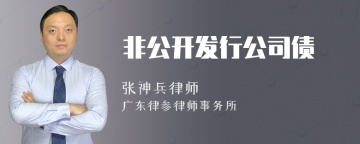 非公开发行公司债