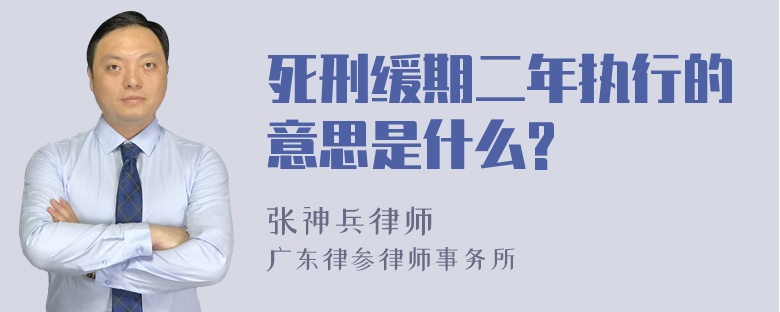 死刑缓期二年执行的意思是什么?