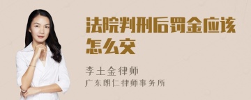 法院判刑后罚金应该怎么交