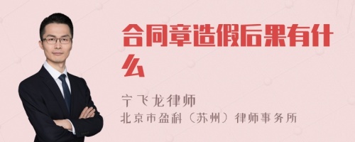 合同章造假后果有什么