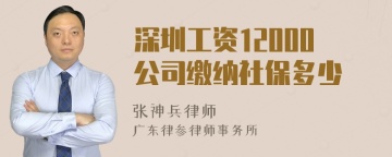 深圳工资12000公司缴纳社保多少