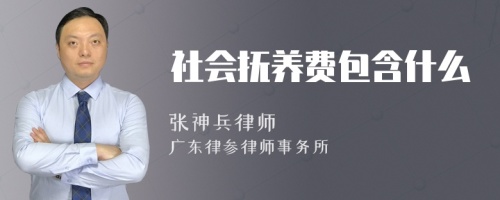 社会抚养费包含什么