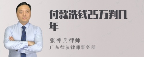 付款洗钱25万判几年