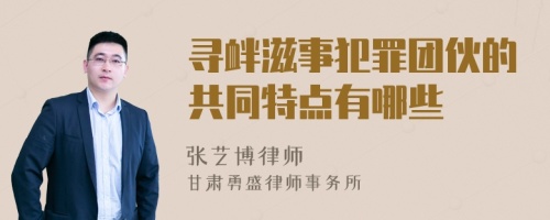 寻衅滋事犯罪团伙的共同特点有哪些