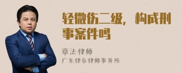 轻微伤二级，构成刑事案件吗