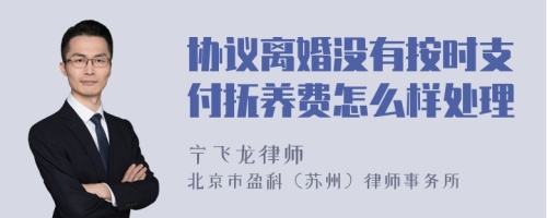 协议离婚没有按时支付抚养费怎么样处理