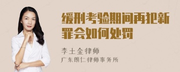 缓刑考验期间再犯新罪会如何处罚