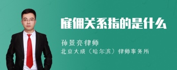 雇佣关系指的是什么