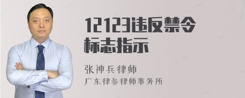 12123违反禁令标志指示