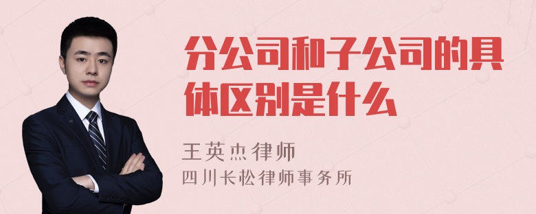 分公司和子公司的具体区别是什么