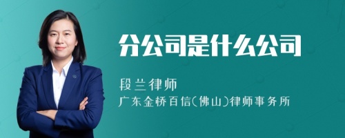 分公司是什么公司