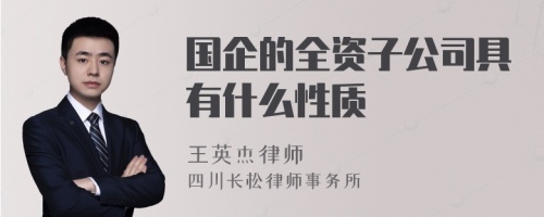 国企的全资子公司具有什么性质