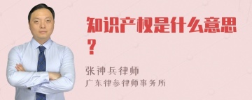 知识产权是什么意思？