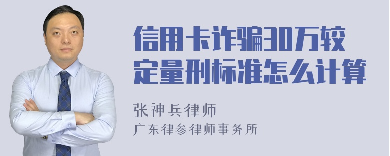 信用卡诈骗30万较定量刑标准怎么计算