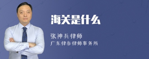 海关是什么