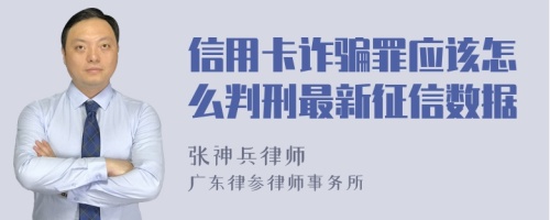 信用卡诈骗罪应该怎么判刑最新征信数据