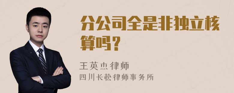 分公司全是非独立核算吗？