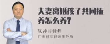 夫妻离婚孩子共同抚养怎么养?