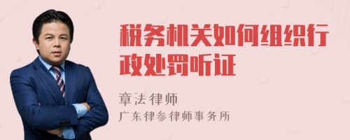 税务机关如何组织行政处罚听证