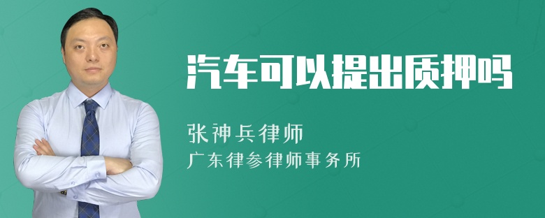 汽车可以提出质押吗