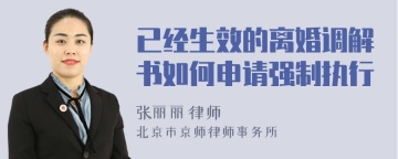 已经生效的离婚调解书如何申请强制执行