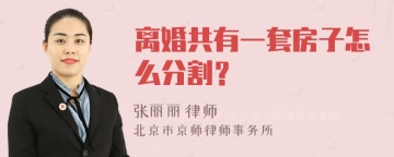 离婚共有一套房子怎么分割？