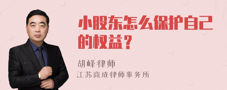 小股东怎么保护自己的权益？