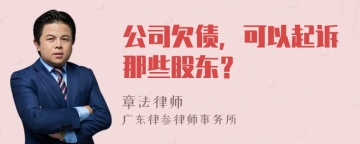 公司欠债，可以起诉那些股东？