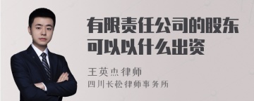 有限责任公司的股东可以以什么出资