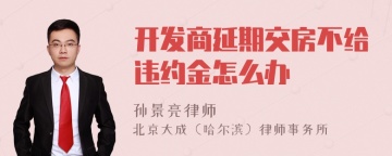 开发商延期交房不给违约金怎么办