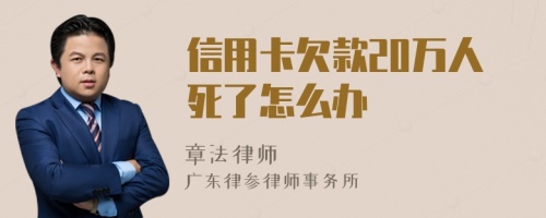 信用卡欠款20万人死了怎么办