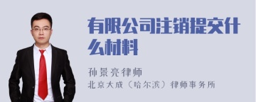 有限公司注销提交什么材料