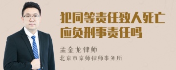 犯同等责任致人死亡应负刑事责任吗