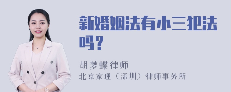 新婚姻法有小三犯法吗？