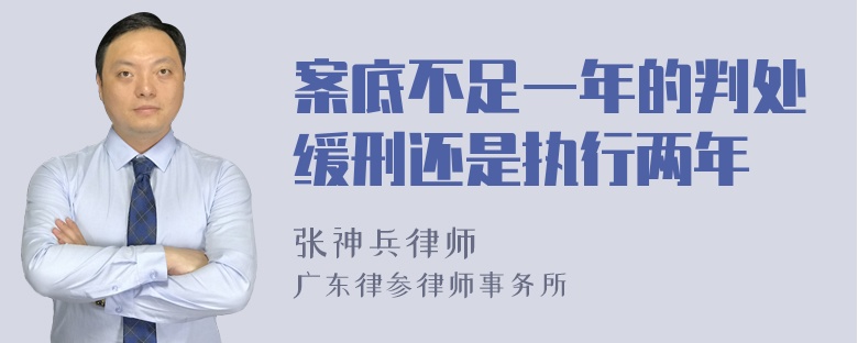 案底不足一年的判处缓刑还是执行两年