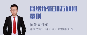 网络诈骗30万如何量刑